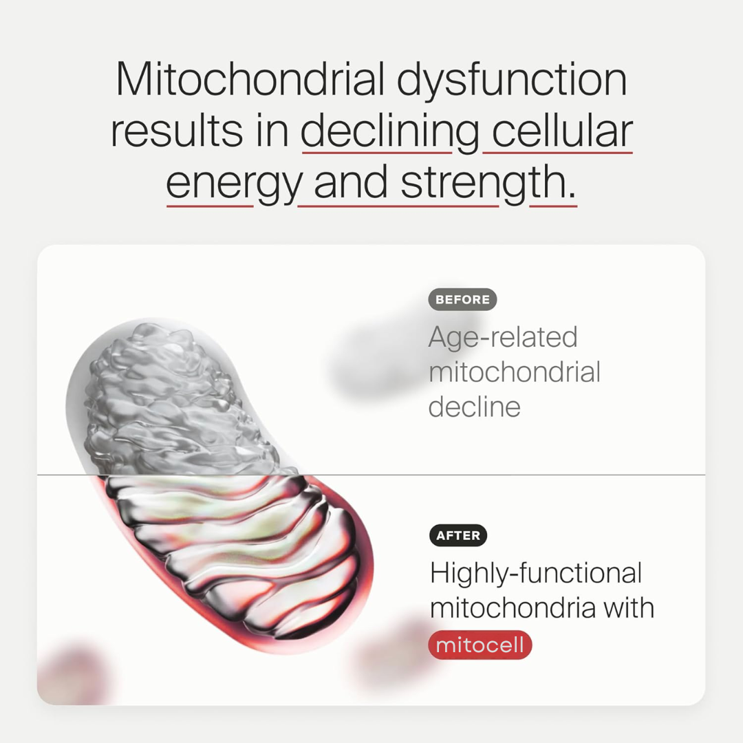 Mitocell Renew – Urolithin A (60 Softgels)