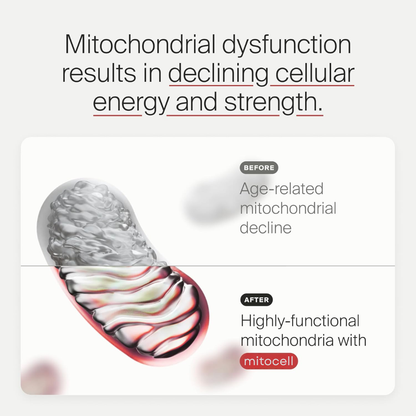 Mitocell Renew – Urolithin A (60 Softgels)